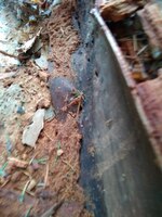 [FILE]