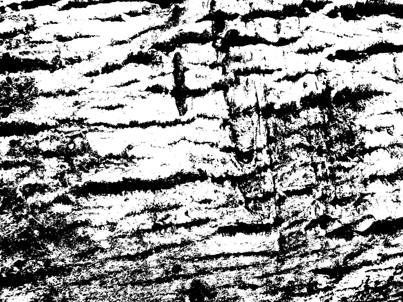 tree texture